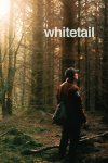 Whitetail