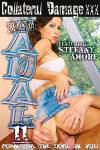 The Best Of Anal 11