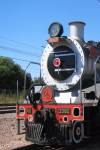 Rail Away - stoomtreinen Zuid-Afrika