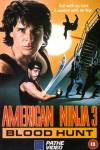 American Ninja 3
