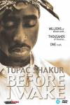 Before I Wake