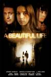 A Beautiful Life