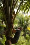 Beyond Survival With Les Stroud: Borneo