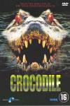 Crocodile 1